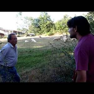 Le Ciaramelle di Amatrice - Rosolino Rosati